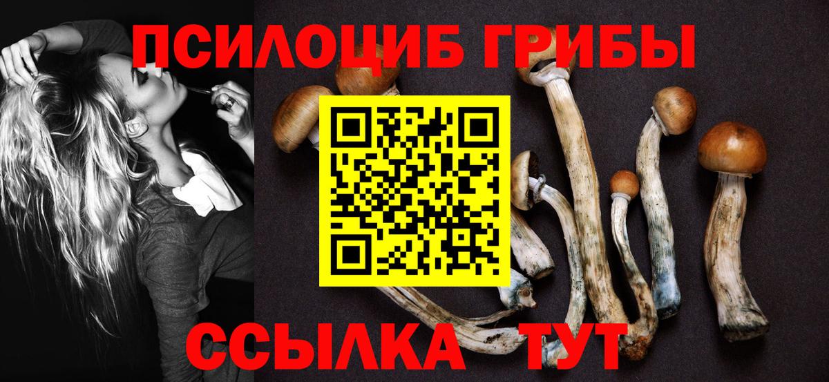 Псилоцибиновые грибы Magic Shrooms  Вход с VPN  Черкесск  Псилоцибиновые грибы Magic Shrooms 